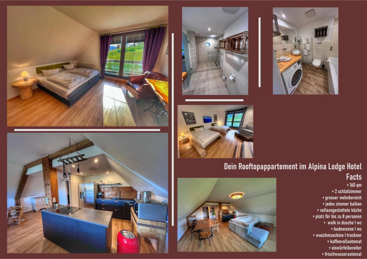 Alpina Lodge Hotel Oberwiesenthal Εξωτερικό φωτογραφία