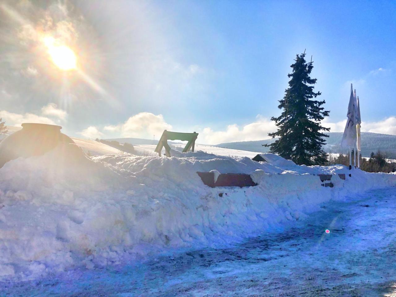 Alpina Lodge Hotel Oberwiesenthal Εξωτερικό φωτογραφία